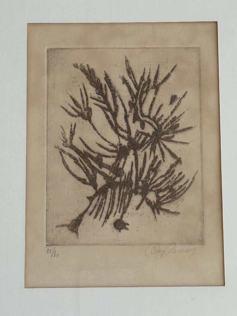 Ray Remans, Ophalen