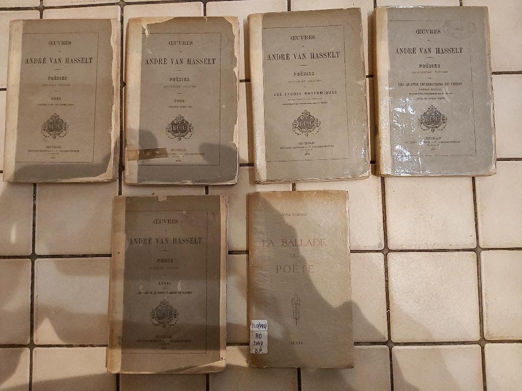 Werken van André Van Hasselt - 4 gedichten + 1 proza + 1, Boeken, Gelezen, Ophalen of Verzenden, André Van Hasselt, Eén auteur