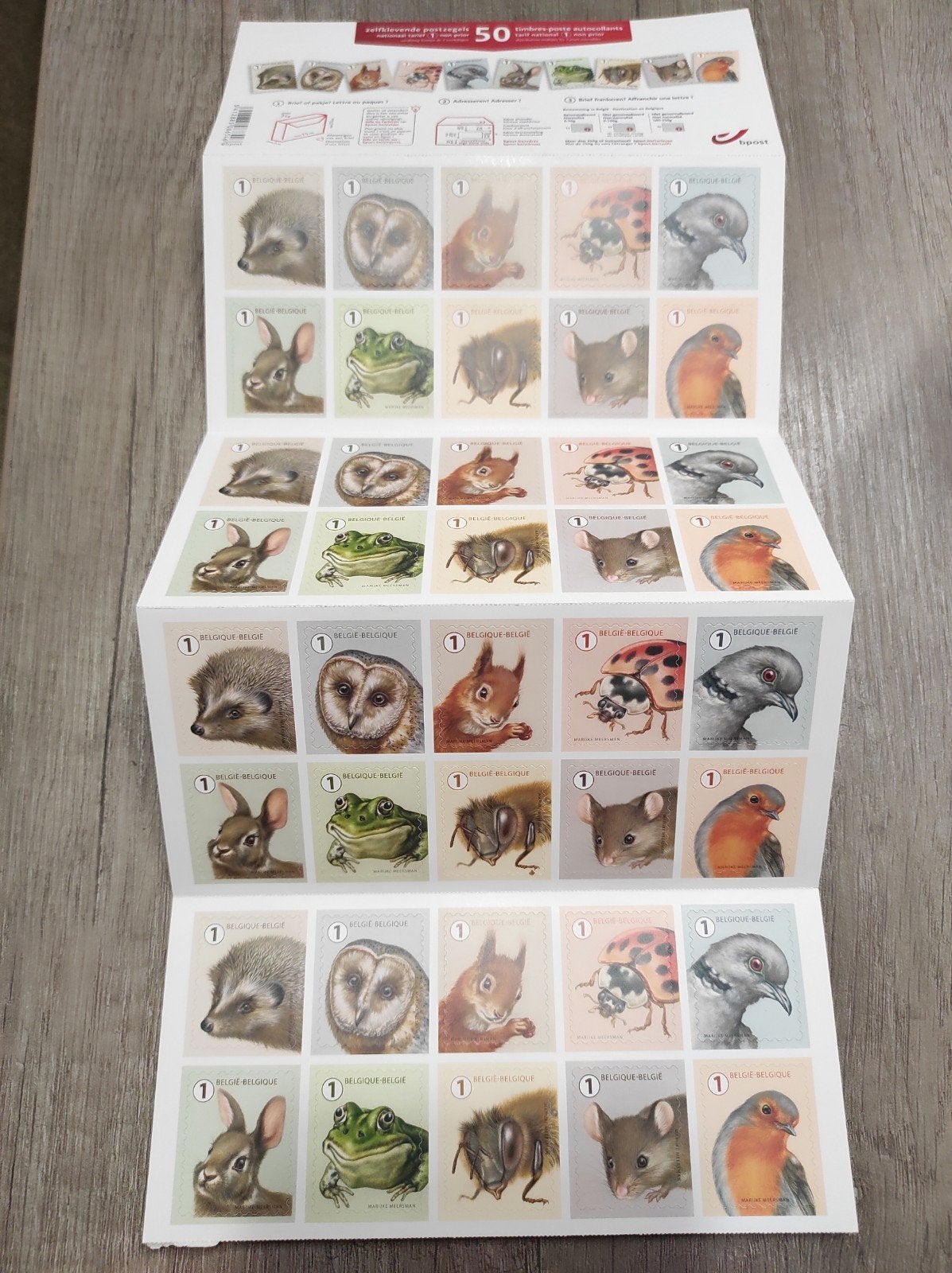 Timbres auto collants