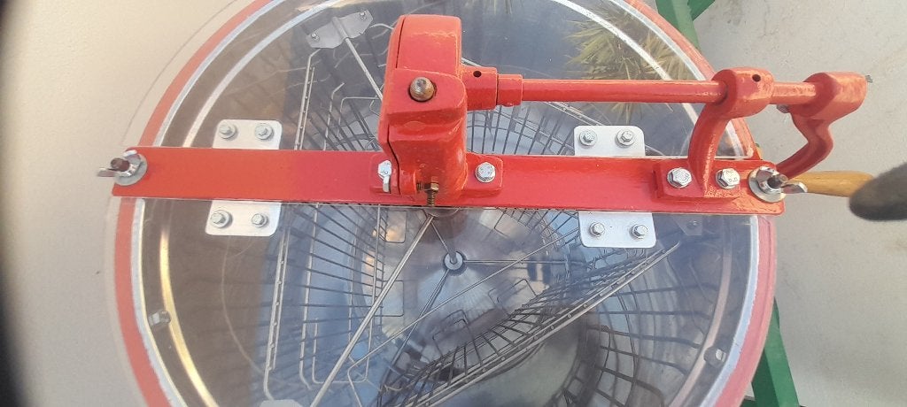 Honingslinger, Animaux & Accessoires, Insectes & Araignées, Abeilles