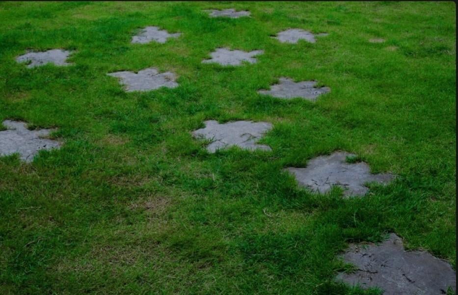 Te huur gezocht stukje campergrond, Caravans en Kamperen