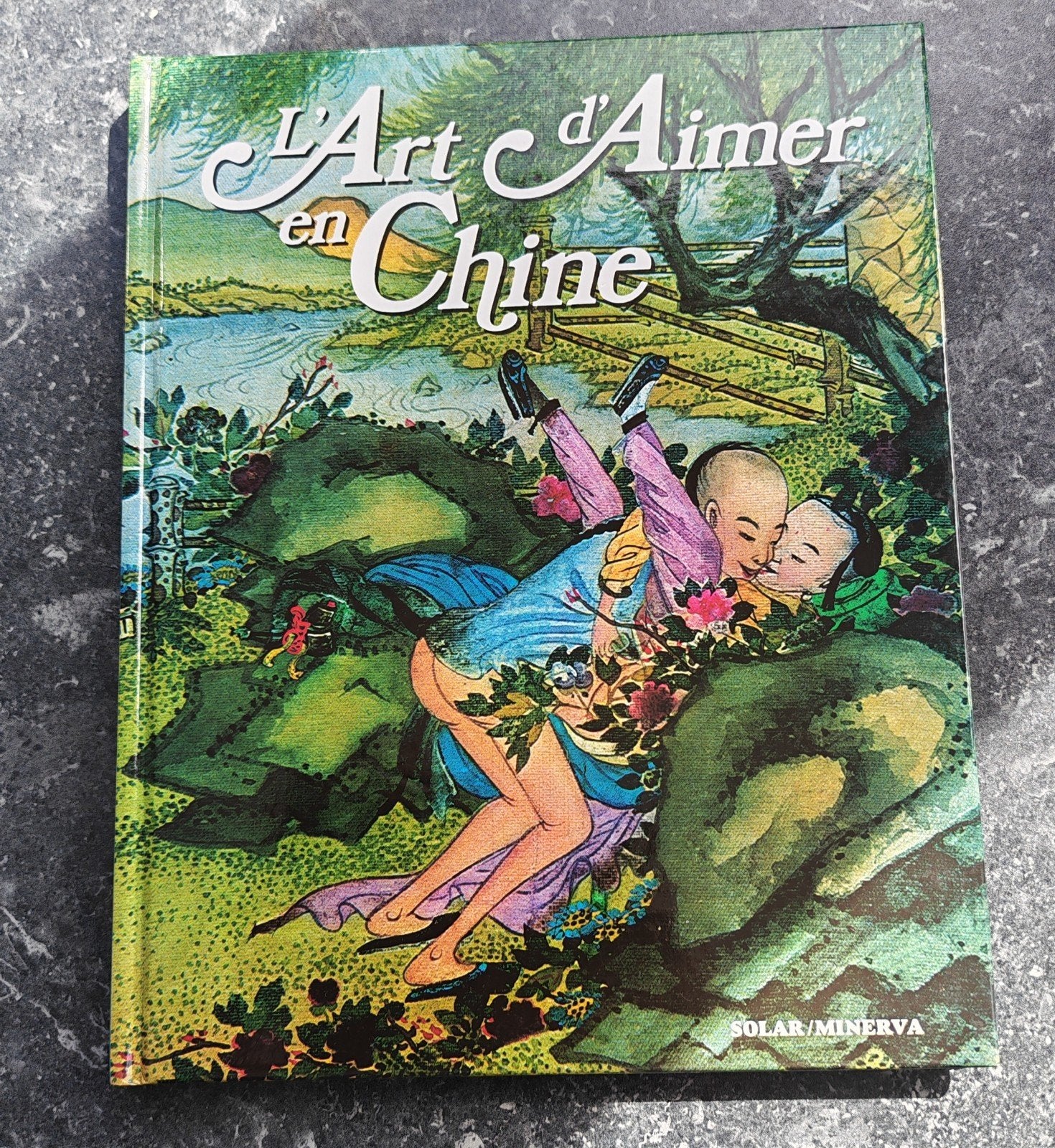 L'art d'aimer en Chine. Pour adulte, Enlèvement ou Envoi, Une BD, Comme neuf, Marc de smedt