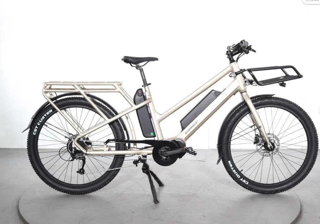 Conor Viena Longtail e-bike — amper 4 maanden oud, Autres marques, 51 à 55 cm, 50 km par batterie ou plus, Comme neuf