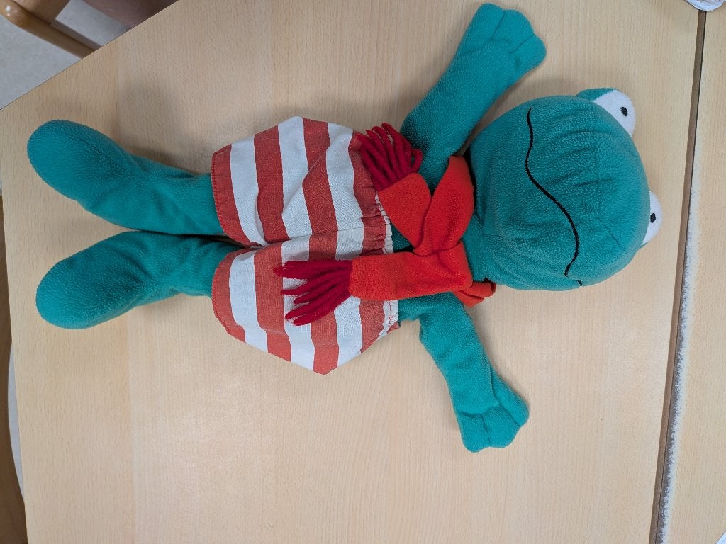 Knuffel kikker 40 cm, Ophalen of Verzenden, Zo goed als nieuw, Kikker