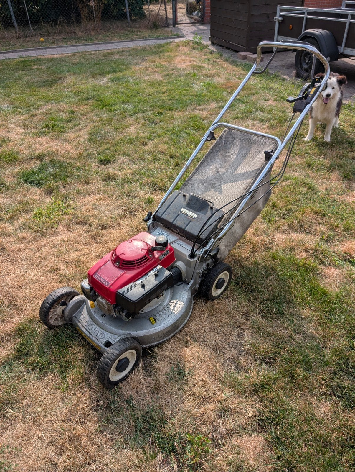 Honda HR194, Tuin en Terras, Grasmaaiers, Ophalen