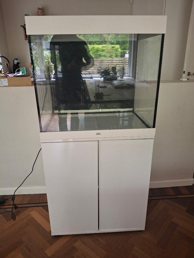 Juwel aquarium, Dieren en Toebehoren, Ophalen, Gebruikt, Leeg aquarium, Juwel