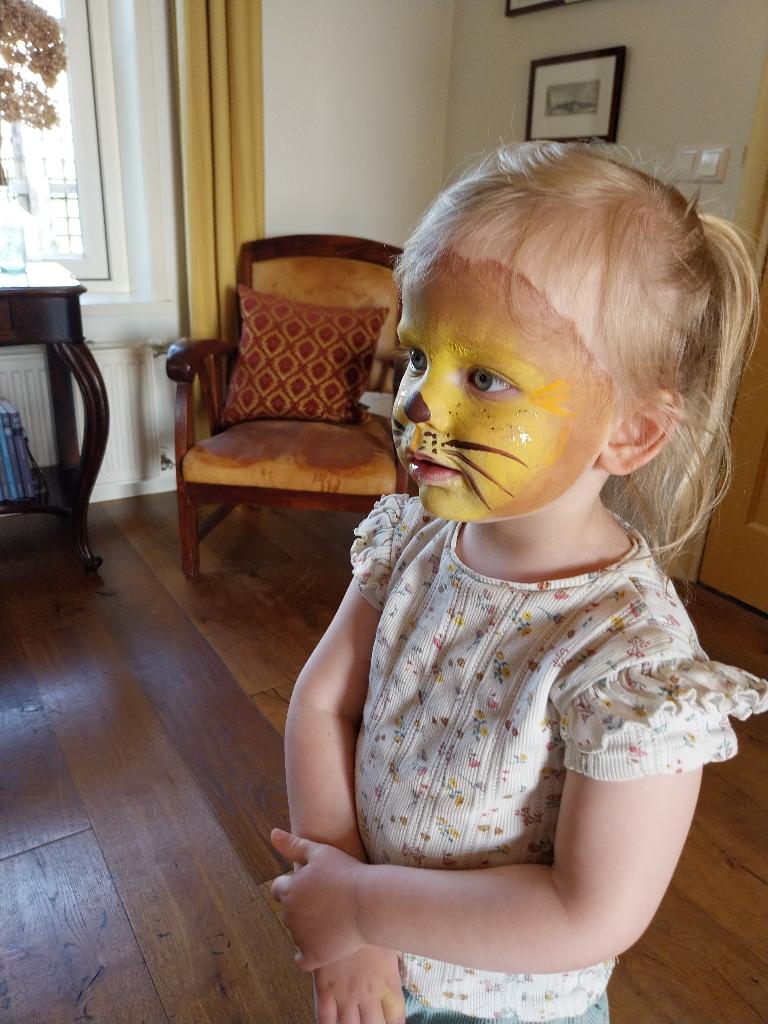 schminkkoffer verhuur te huur kinderfeest verjaardagsfeest, Enlèvement, Utilisé