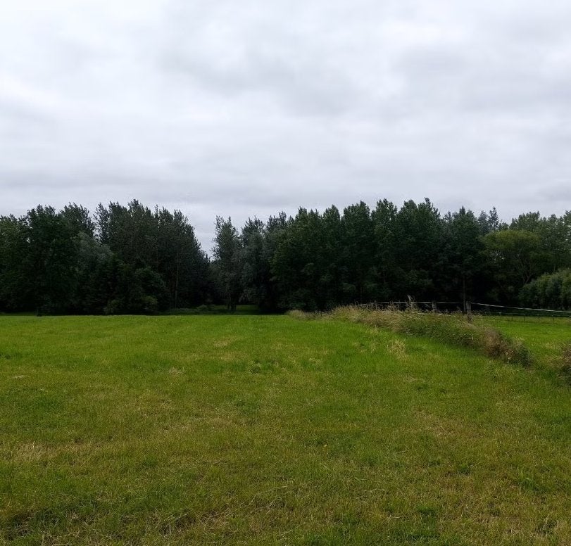 Weide kortenaken en Bekkevoort te huur, Dieren en Toebehoren