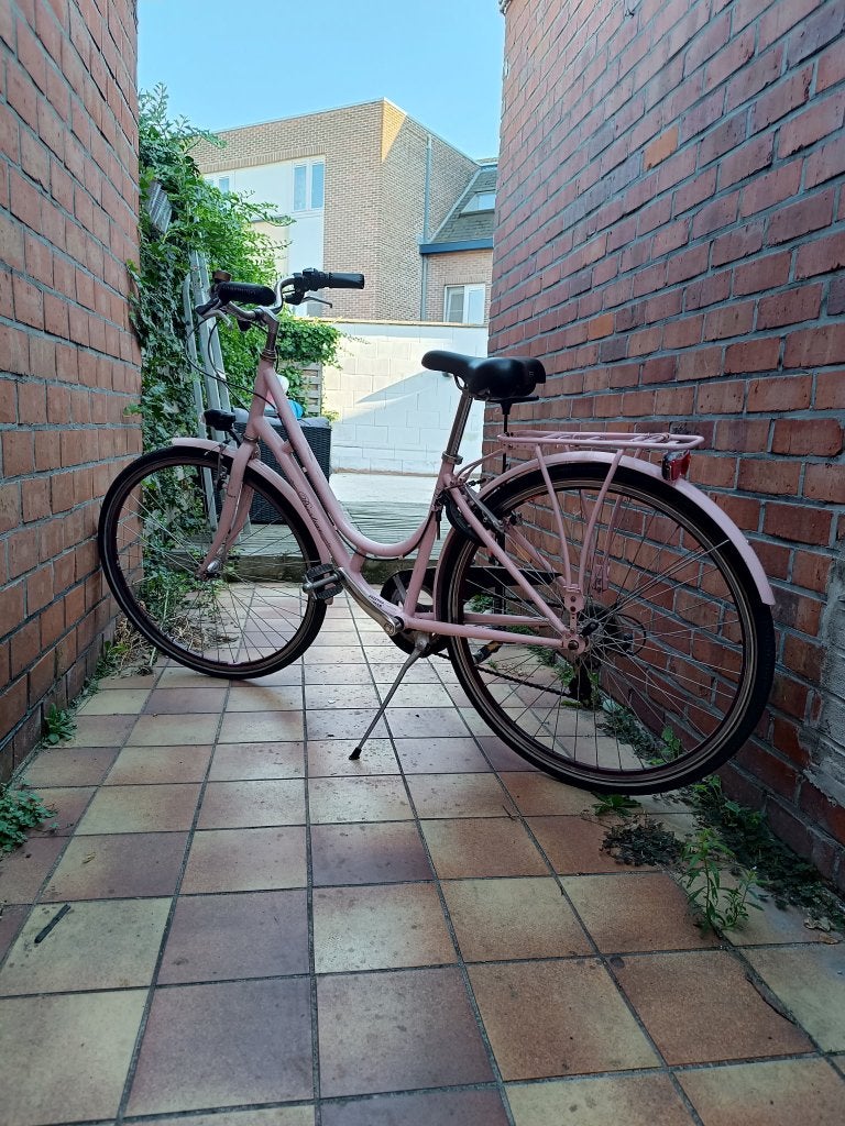 Studenten fiets, Autres marques, Vitesses, Frein sur jante, Moins de 47 cm