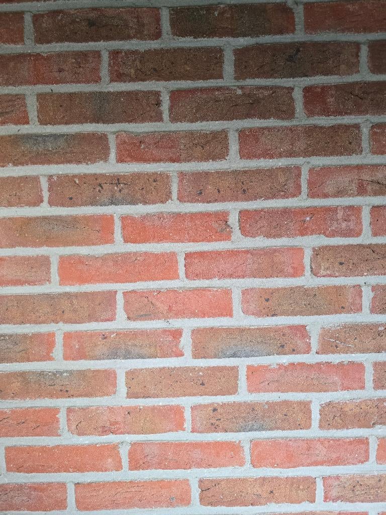 facadesteen, Doe-het-zelf en Bouw, Ophalen, Nieuw, Bakstenen
