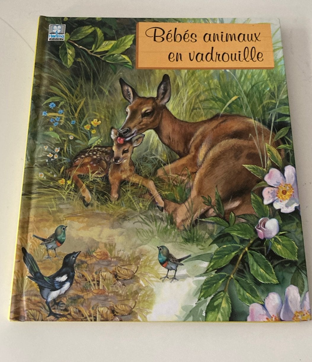 Livres avec illustrations magnifiques pour enfants, Boeken, Sprookjes en Fabels, Ophalen of Verzenden, Zo goed als nieuw