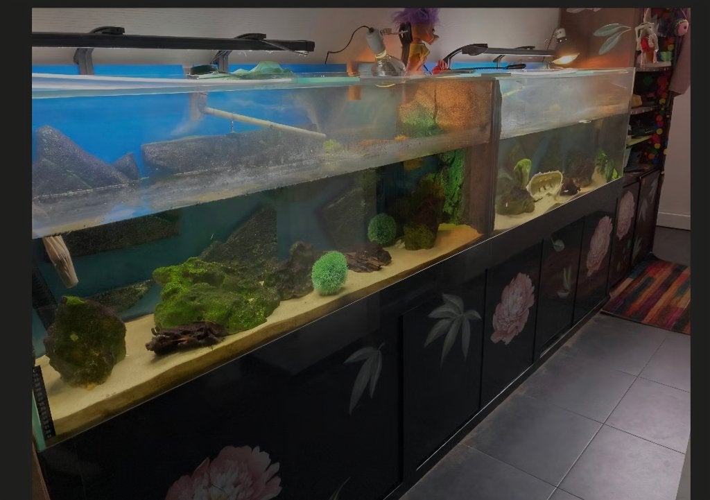 Aquarium met kast 3 meter, Animaux & Accessoires, Poissons | Aquariums & Accessoires, Enlèvement, Chauffage, Utilisé, Tetra