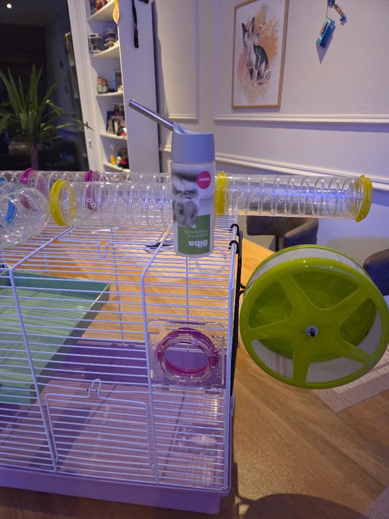 Cage pour hamster neuve full complète, Animaux & Accessoires, Neuf, Moins de 60 cm, Cage, Hamster