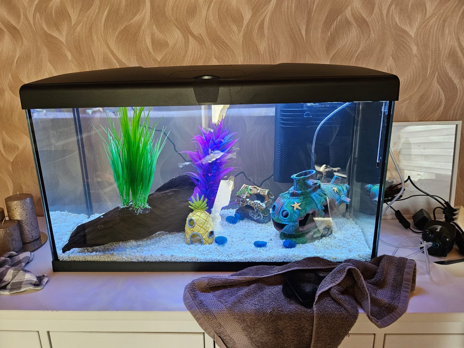 Aquarium 80l, Dieren en Toebehoren, Ophalen, Verwarming, Zo goed als nieuw, Filter