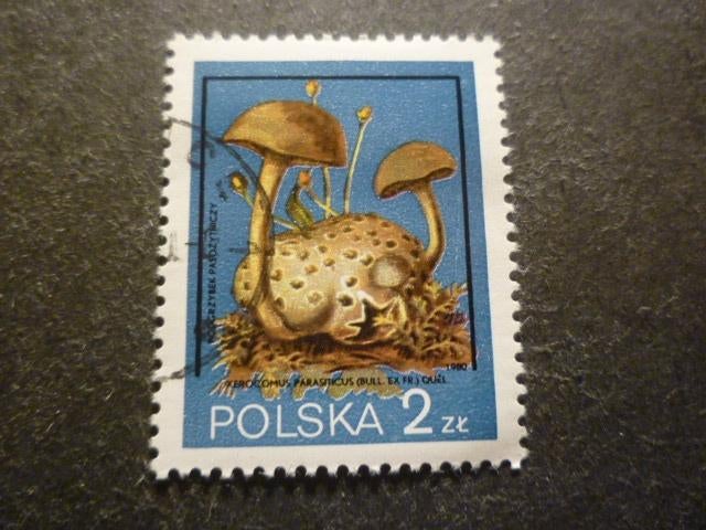 Polen/Pologne 1980 Mi 2694(o) Gestempeld/Oblitéré, Verzenden, Polen