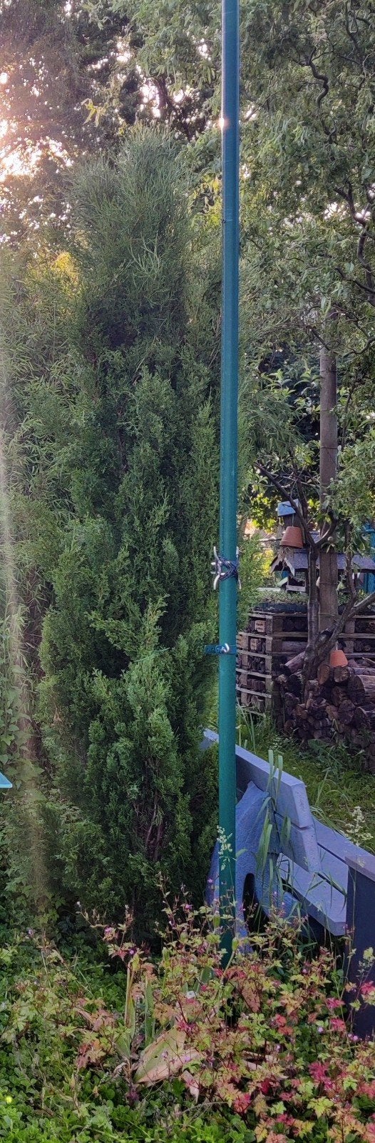 Cipres, Tuin en Terras, Planten | Bomen, Ophalen