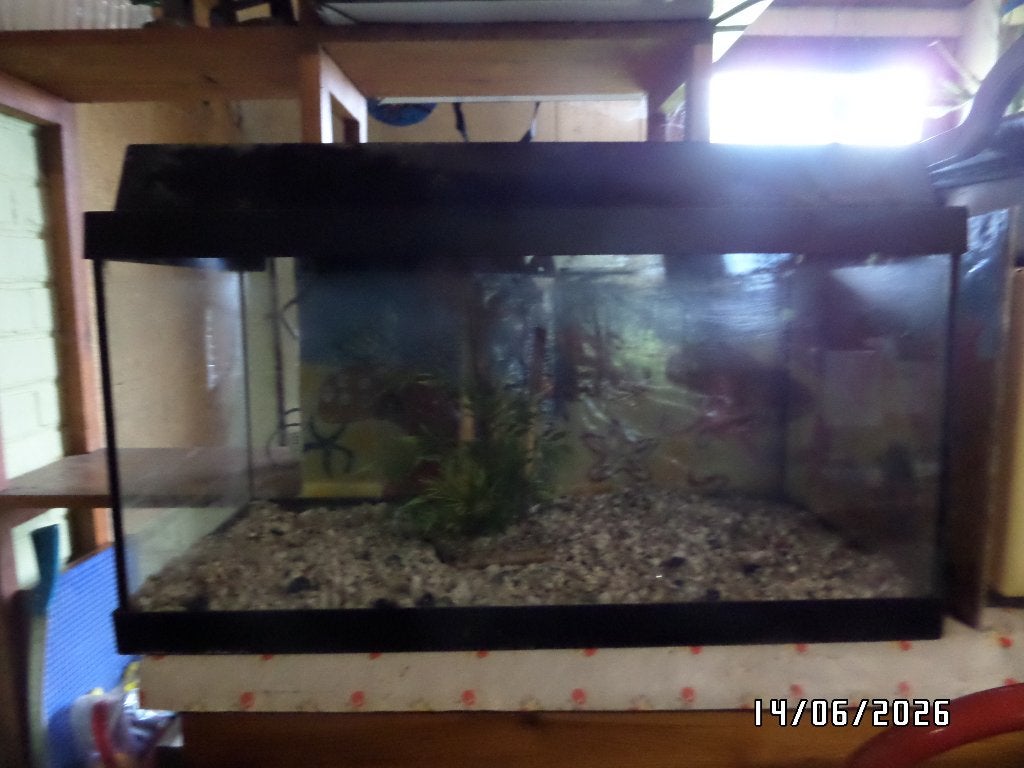 Juwel aquarium + toebehoren, Dieren en Toebehoren, Ophalen, Verwarming, Gebruikt, Juwel