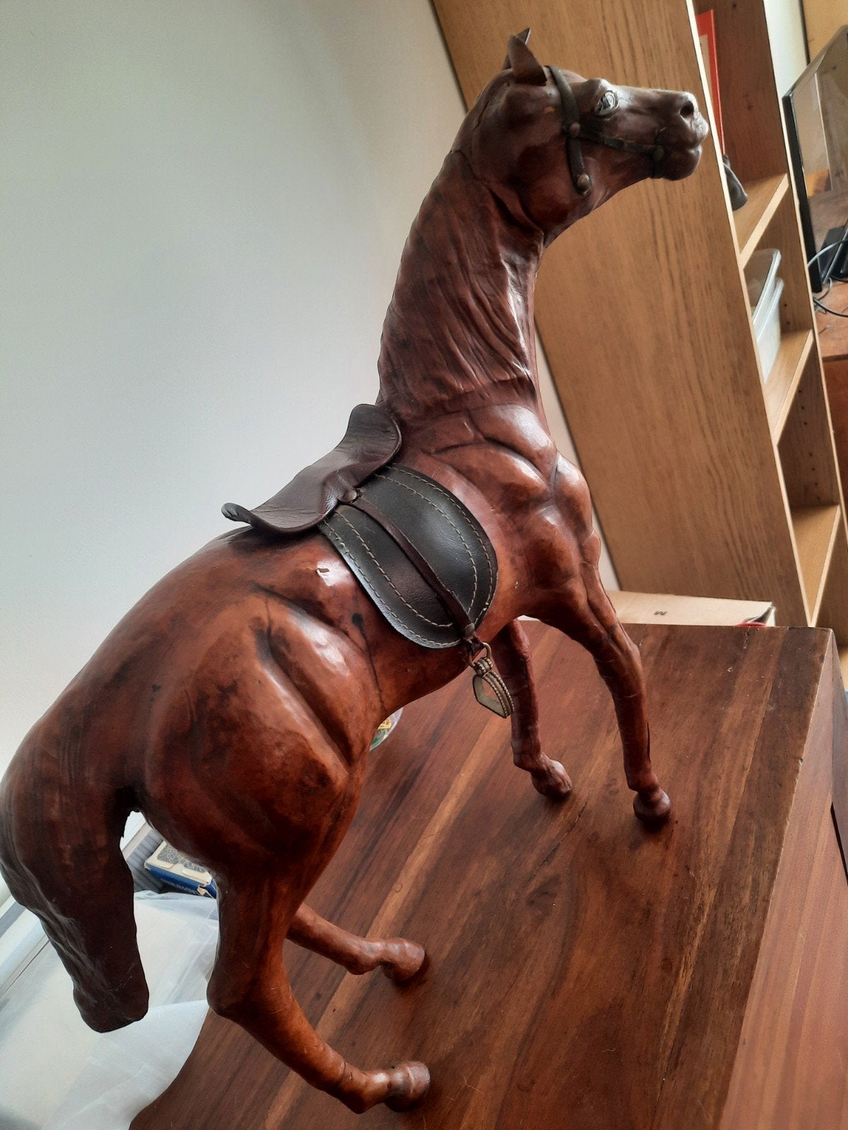 Cheval xxem en cuir yeux en verre, Enlèvement