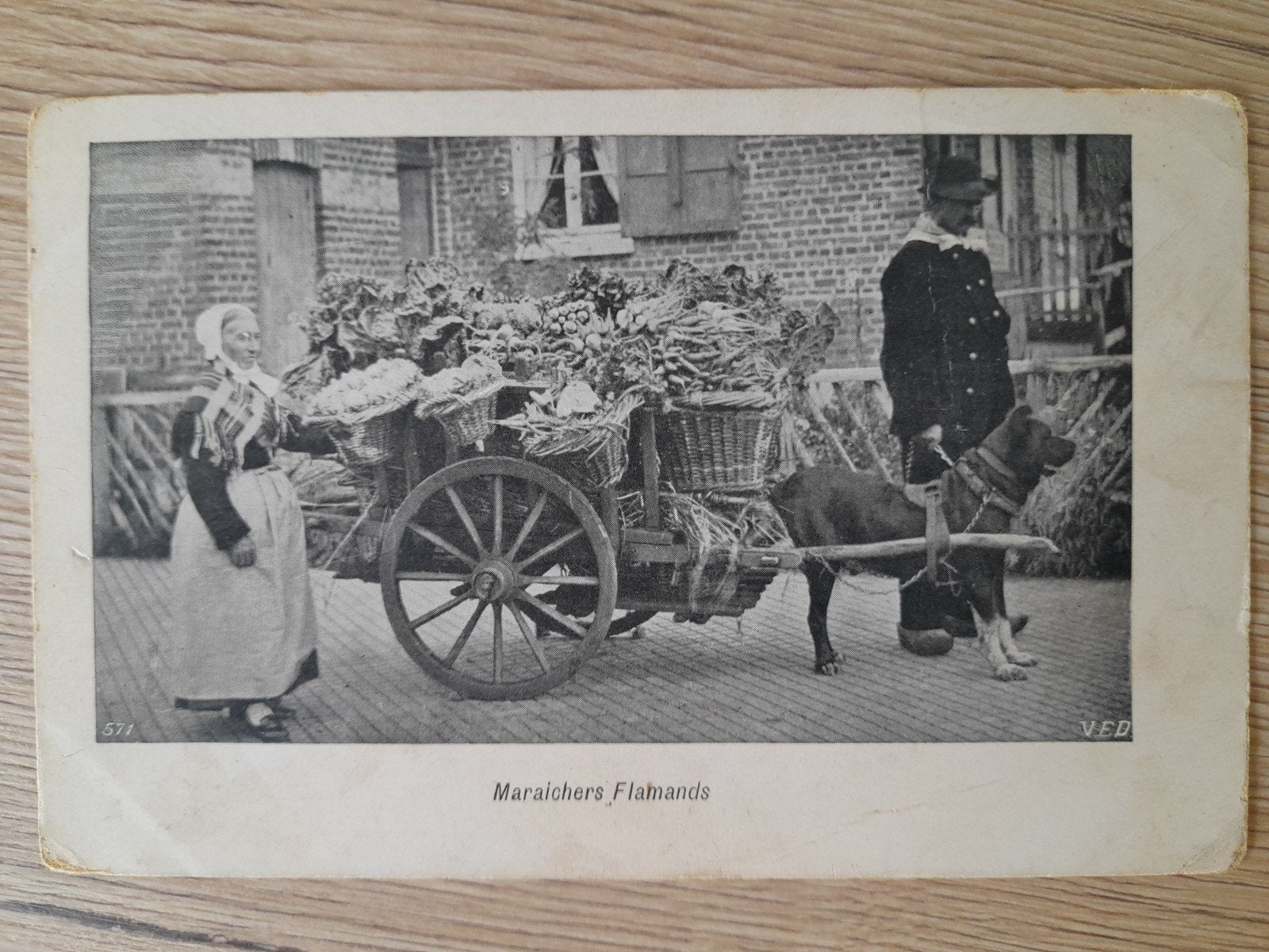 Vlaamse hondenkar, Ophalen of Verzenden