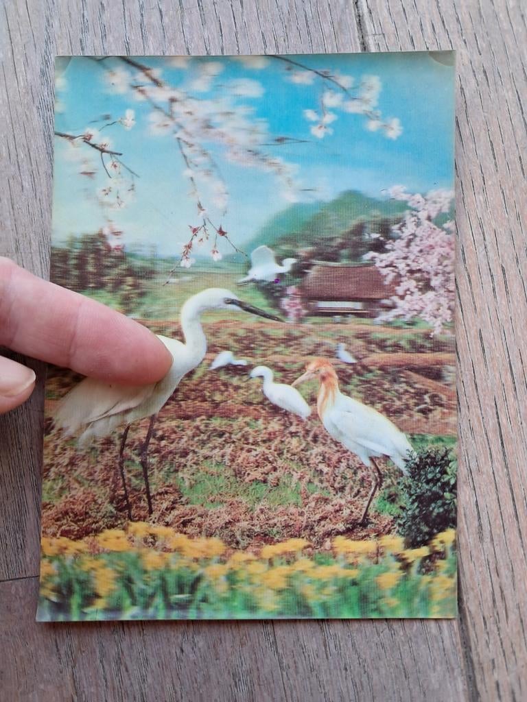 Carte rétro avec vue en profondeur avec oiseaux, Collections, Enlèvement ou Envoi