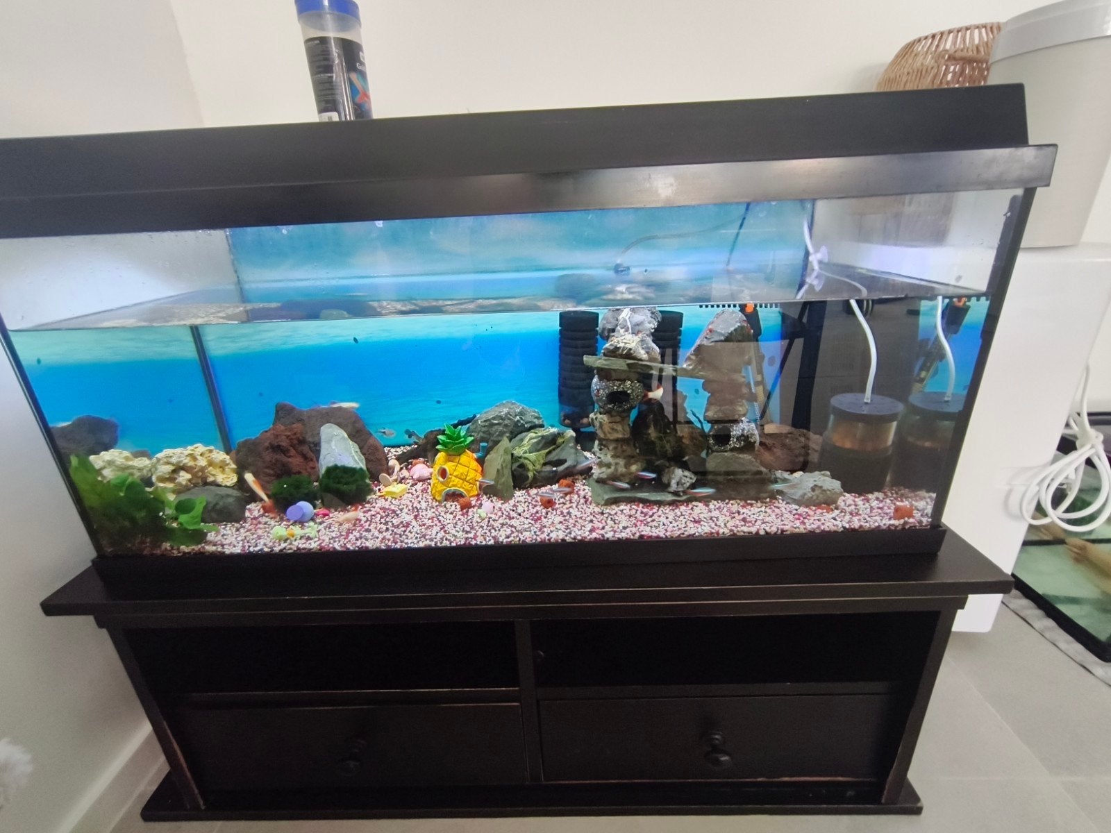zeer mooie aquarium met vissen en accessoires, Dieren en Toebehoren, Ophalen, Decoratie