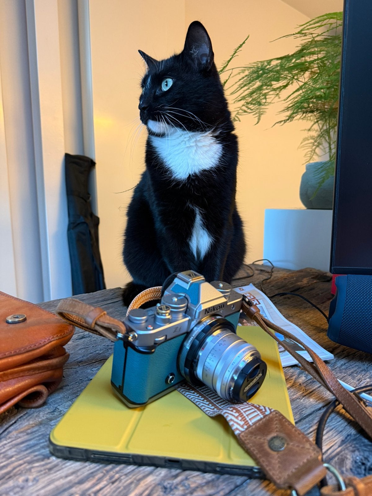 Nikon Zf Silver Edition Teal Blue