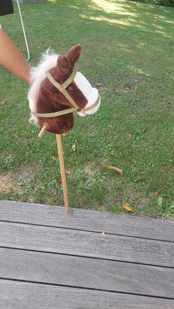 Cheval bâton (hobby horse), Ophalen, Zo goed als nieuw, Jongen of Meisje