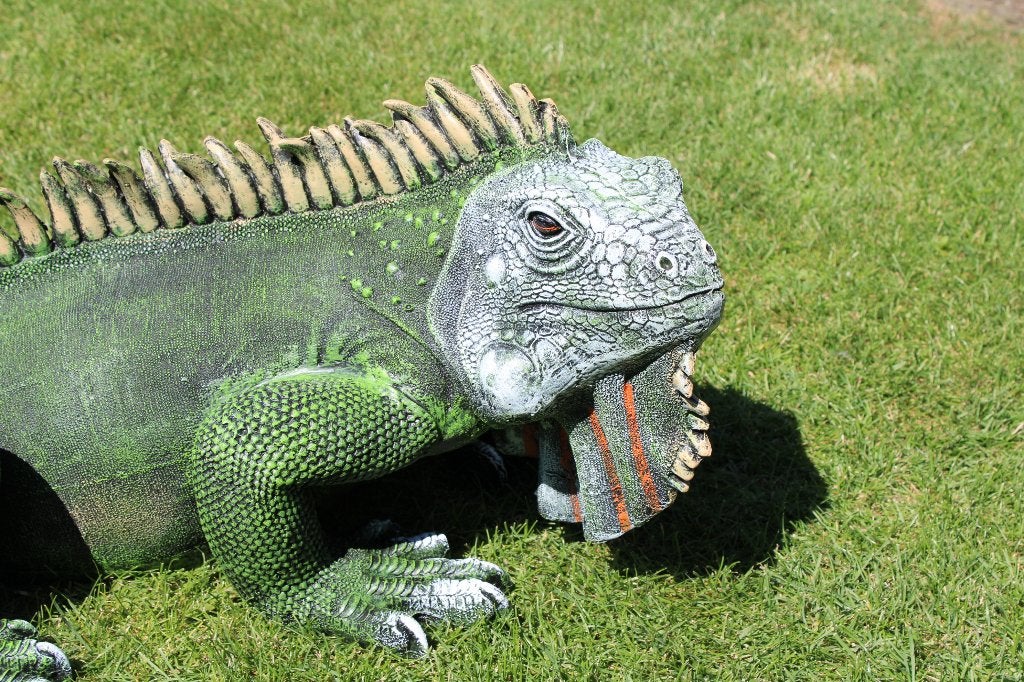 Standbeeld van een leguaan in natuurlijke kleuren 1 m!!, Tuin en Terras, Ophalen, Nieuw