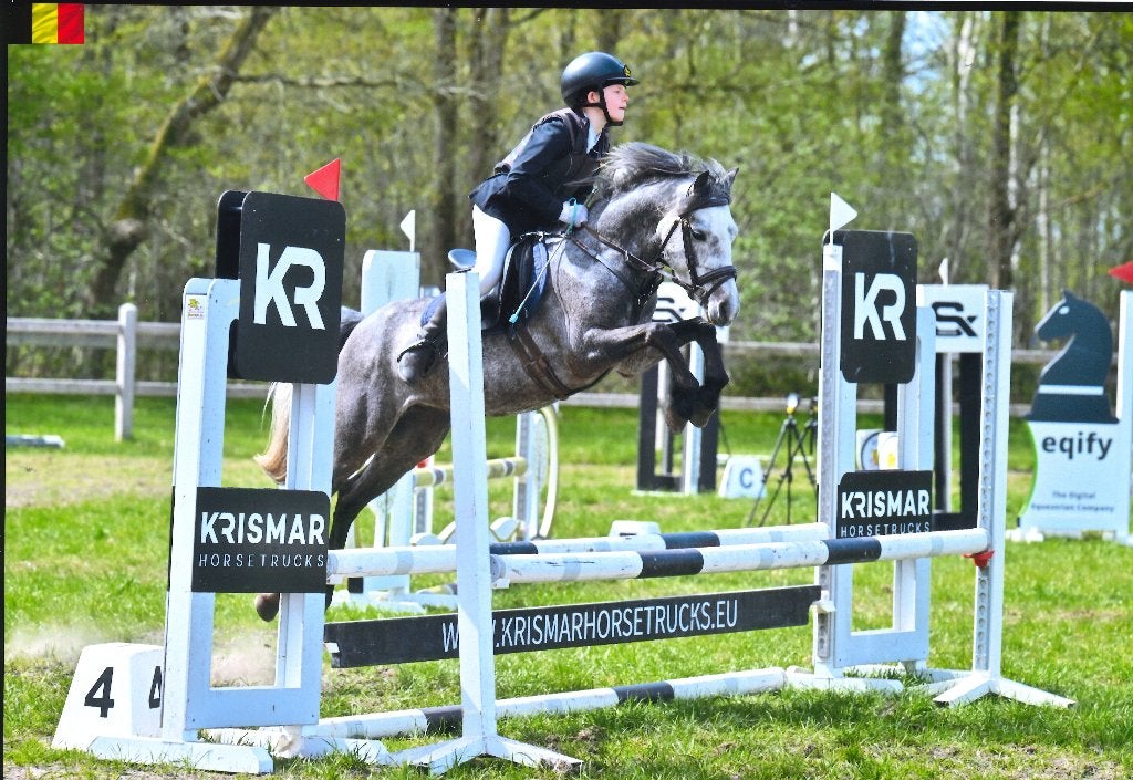 Allround C-pony met sportpotentieel én topkarakter, Dieren en Toebehoren, Pony's, Ruin, Springpony, 3 tot 6 jaar, C pony (1.27m tot 1.37m)