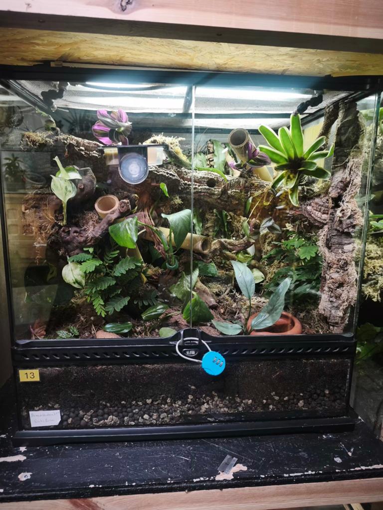 Stel Exo Terra 45x45x60+ inzittenden in, Ophalen, Zo goed als nieuw, Terrarium of Paludarium