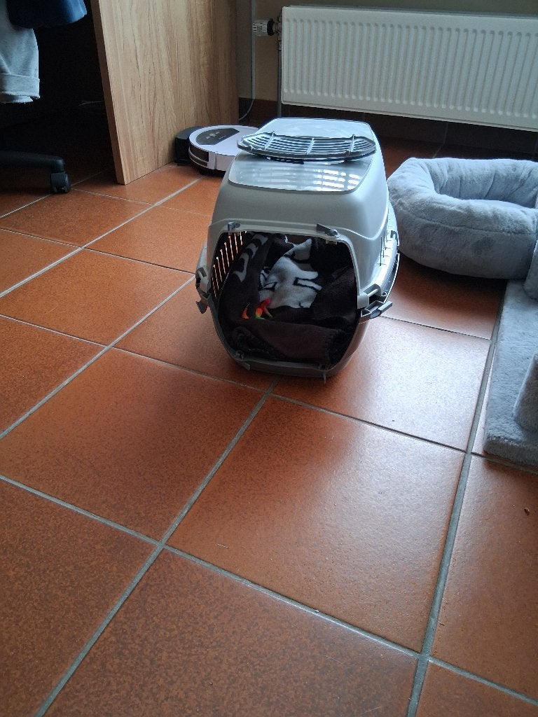 Kattenmanden en vervoermand, Dieren en Toebehoren, Ophalen, Zo goed als nieuw, Overige