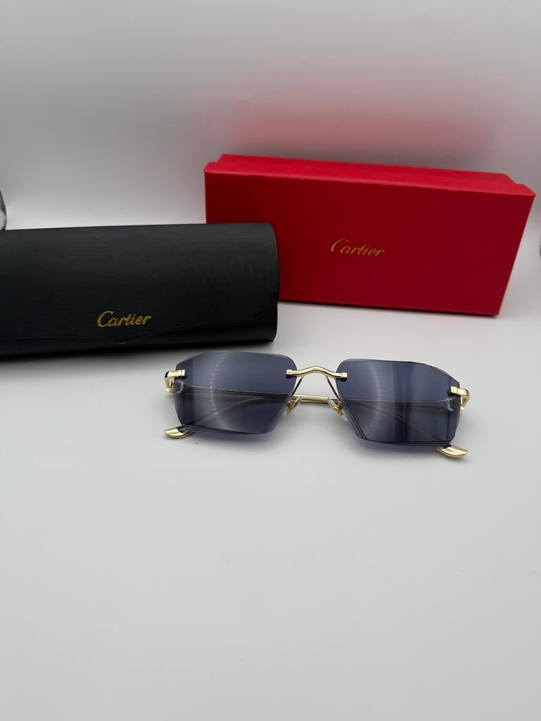 Cartier zonnebril met koker en verpakking, Handtassen en Accessoires, Zonnebrillen en Brillen | Heren, Ophalen of Verzenden, Nieuw
