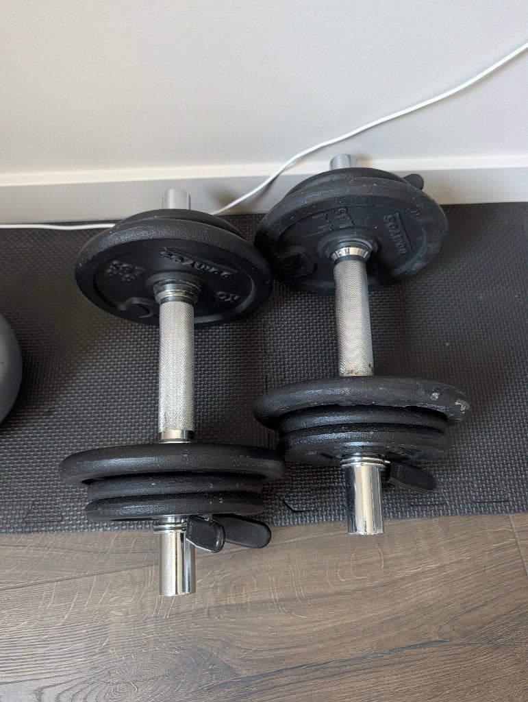 Verstelbare Halterset / Dumbbells 20 kg (Gietijzer), Sport en Fitness, Ophalen, Gebruikt, Dumbbell