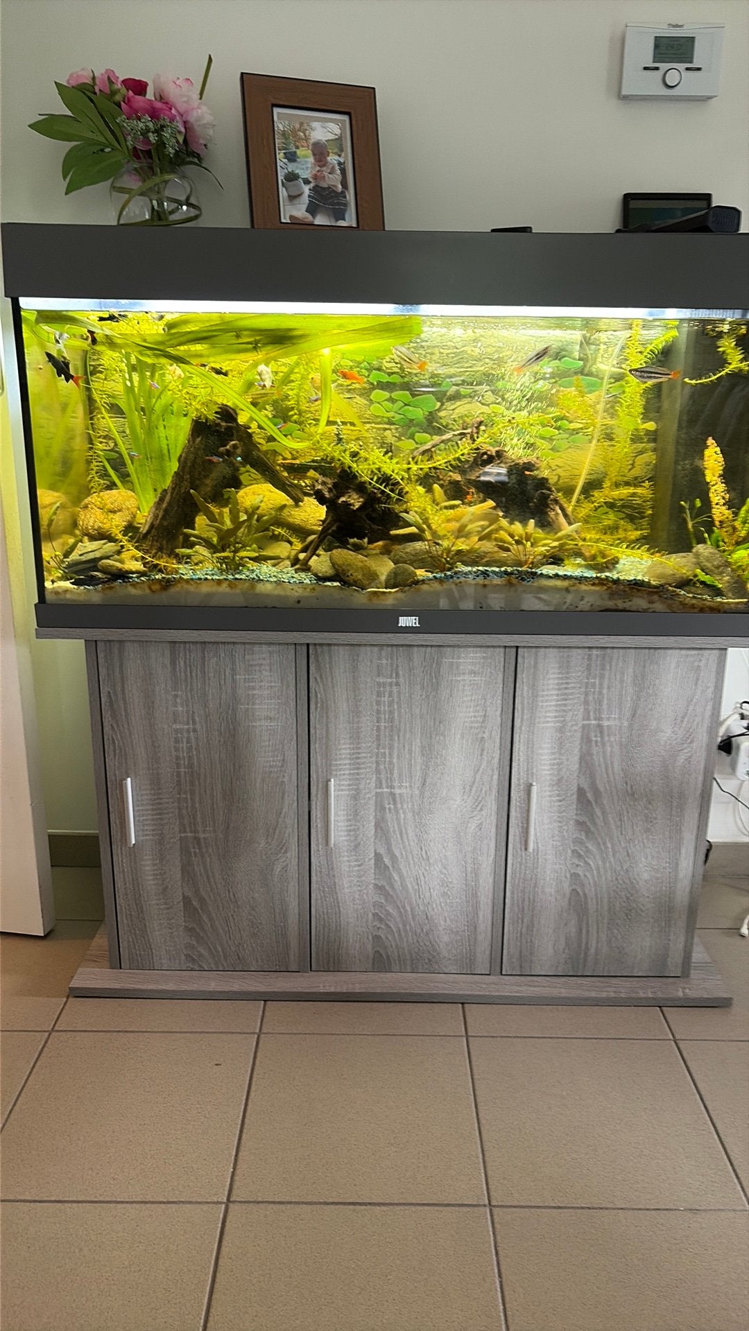 Aquarium te koop met vissen  , plus twee kweek bakken, Ophalen, Gebruikt