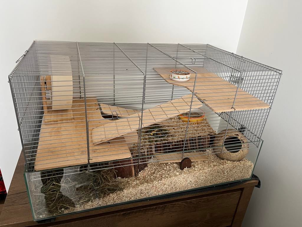 Kooi voor kleine dieren (78 x 47 x 44 cm), Kooi, Zo goed als nieuw, Hamster, 75 tot 110 cm
