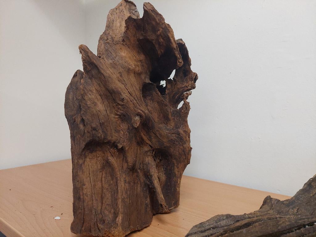 Kienhout voor aquarium of paludarium, Dieren en Toebehoren, Ophalen, Zo goed als nieuw, Plant(en), Steen of Hout