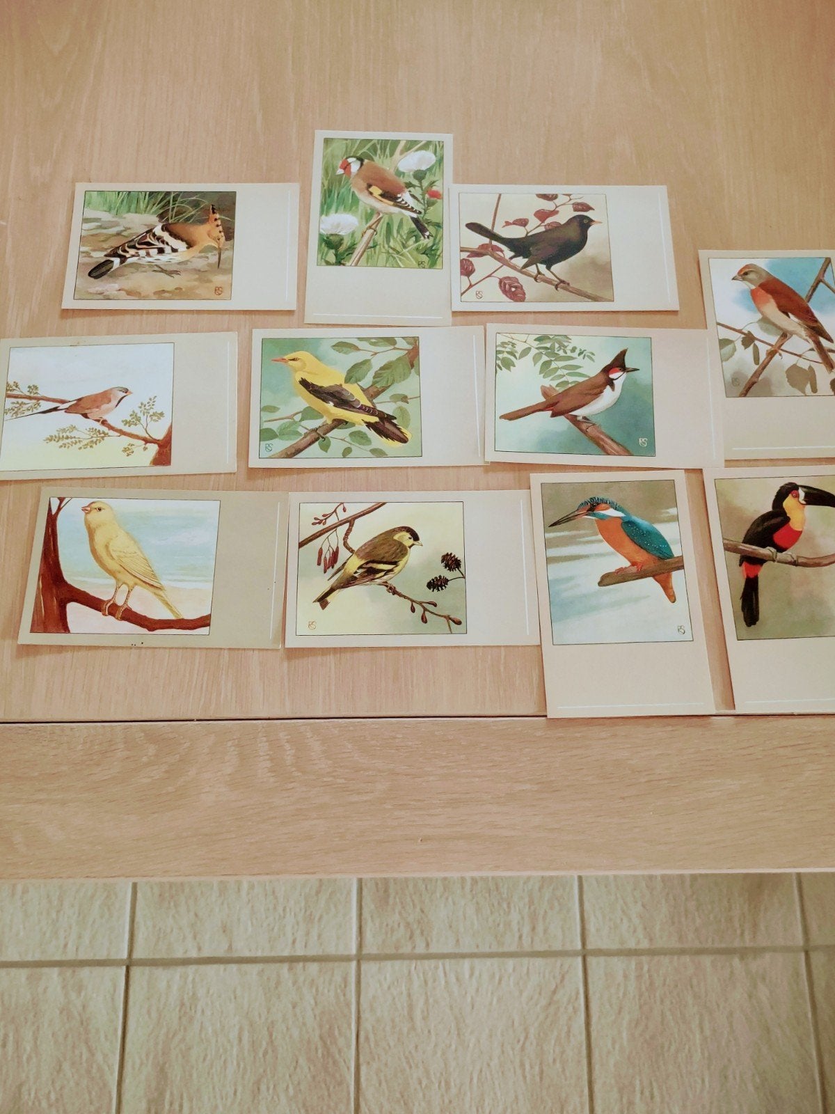 29 mooie oude prentkaarten van vogels., Ophalen of Verzenden, Nieuw