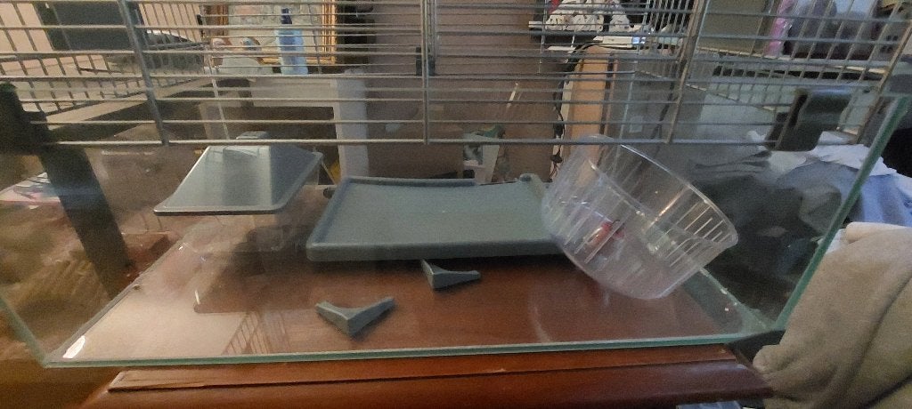 Hamsterkooi, Dieren en Toebehoren, Ophalen, Zo goed als nieuw, Cavia