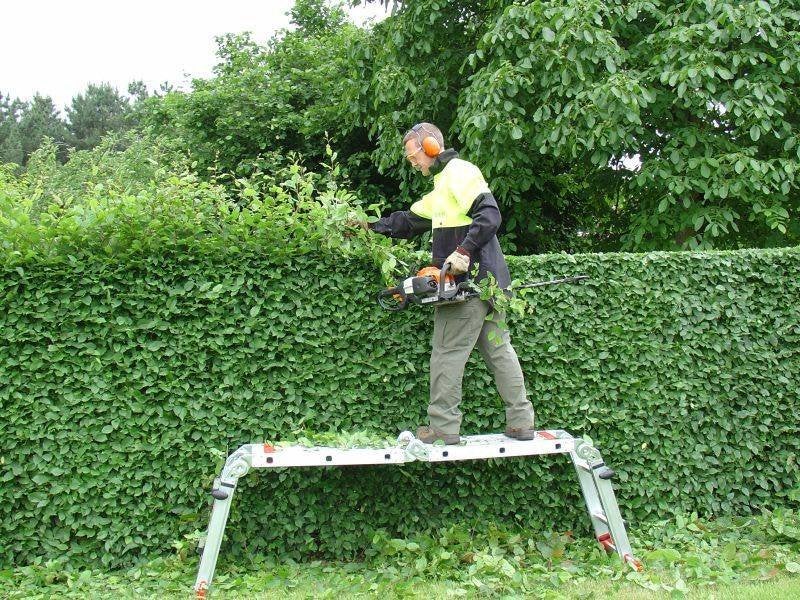 snoeiwerken hagen opruimen tuinen , alles meenemen en proper, Garantie, Hekwerk of Schuttingen