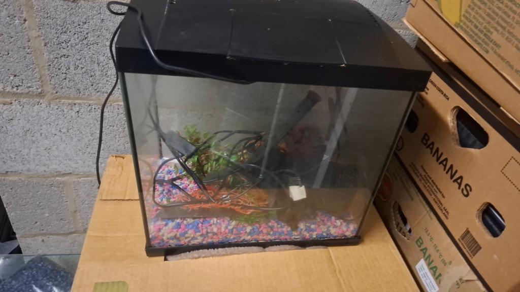 Aquarium  40 liter filter warmtepomp decoratie en stenen, Ophalen, Decoratie