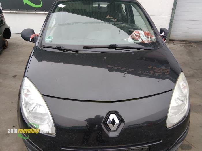 Pare-brise d'un Renault Twingo, -, Renault, -, 3 mois de garantie