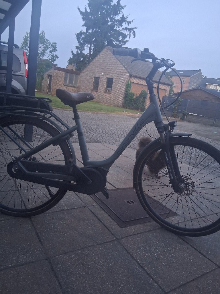 Elektrische fiets, Fietsen en Brommers, Elektrische fietsen, Ophalen, Zo goed als nieuw, Overige merken