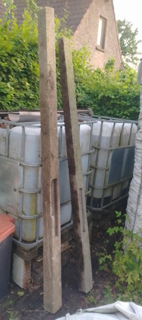 7 betonpalen, gratis, Tuin en Terras, Ophalen