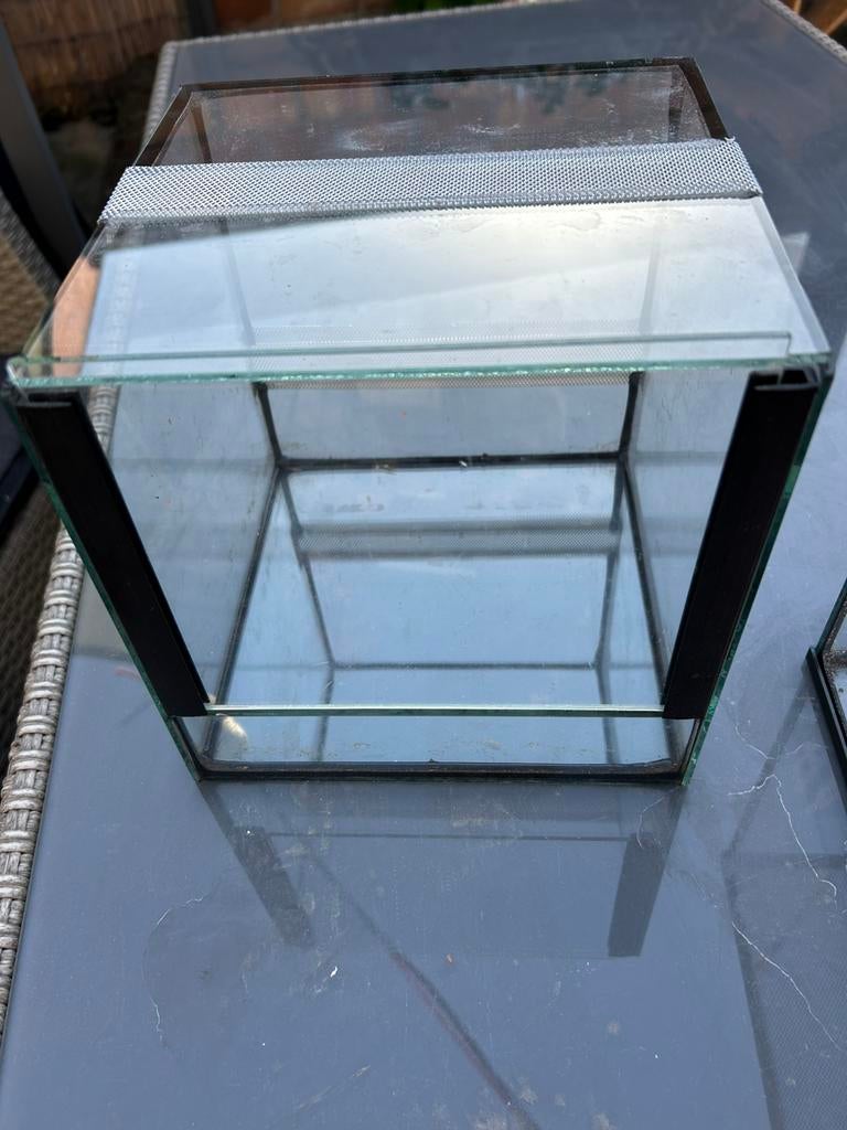 Terrarium, Animaux & Accessoires, Reptiles & Amphibiens | Accessoires, Enlèvement, Comme neuf