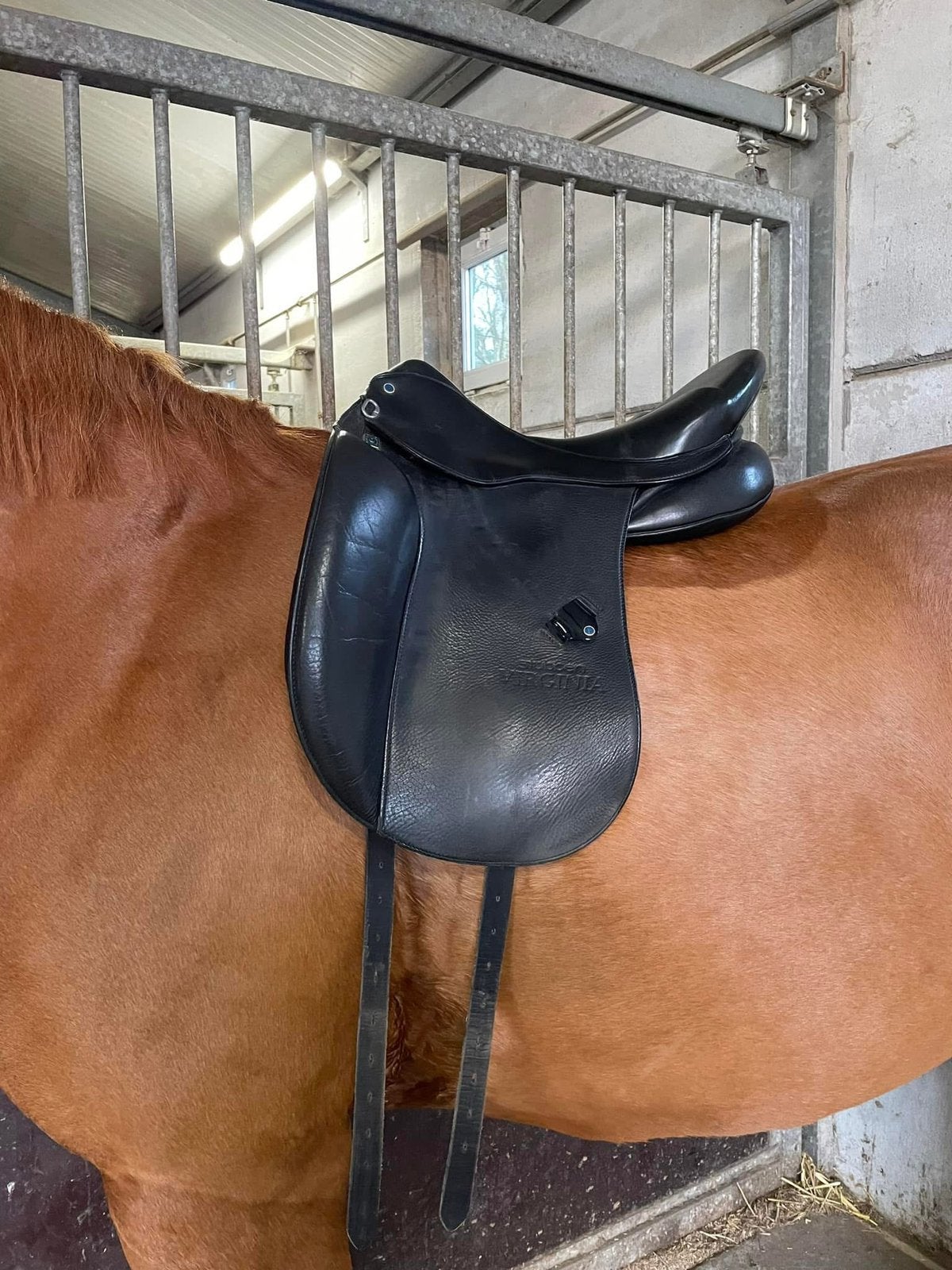 Selle de dressage Stübben, Animaux & Accessoires, Chevaux & Poneys | Selles, Enlèvement, Utilisé, Dressage