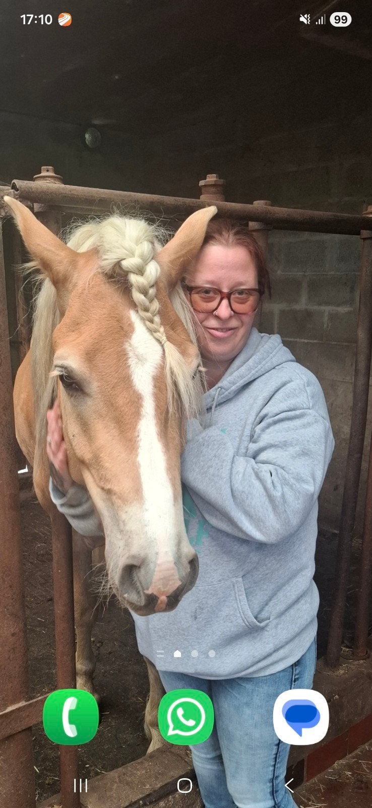 Lieve haflinger ruin zoekt 5️, Dieren en Toebehoren, Paarden en Pony's | Verzorgingsproducten, Ophalen