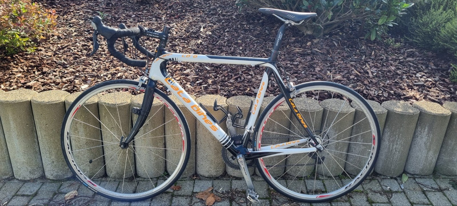 Vélo de course Scott Full Carbone (a roulé 250 km), Enlèvement