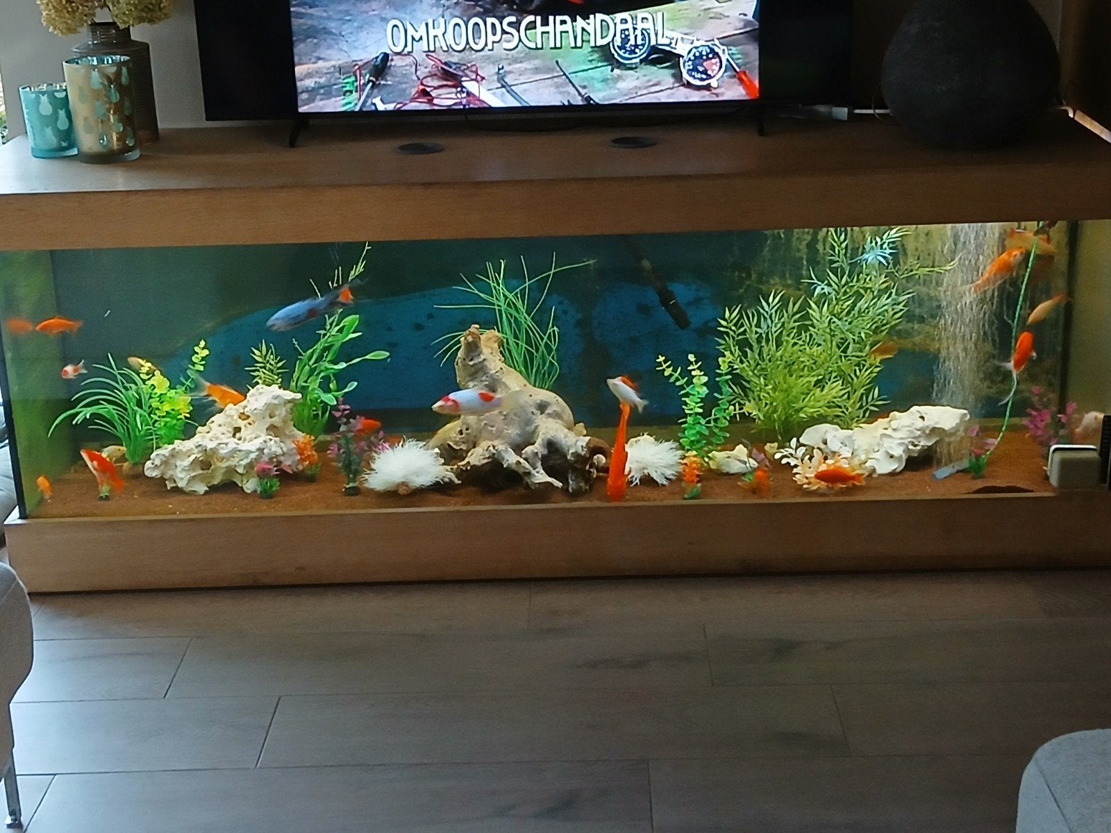 aquarium, Dieren en Toebehoren, Ophalen