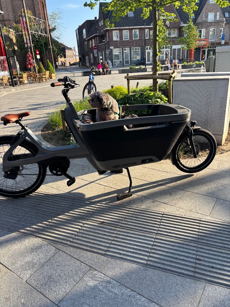 Lovens explorer s75 automatic bakfiets, Huif, Zo goed als nieuw, 2 kinderen, Schijfrem