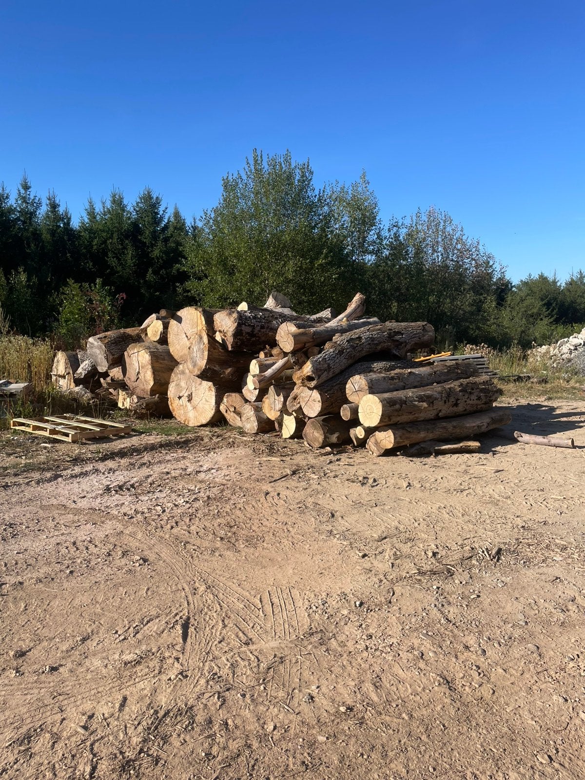 35 steres de bois de chauffage sec en 2 m, Jardin & Terrasse, Enlèvement, Troncs d'arbres